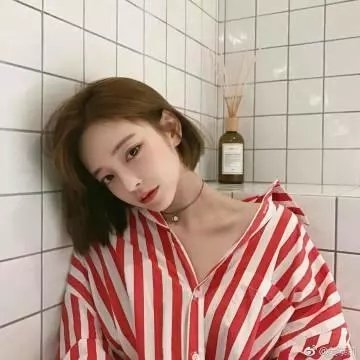 从前有只狗